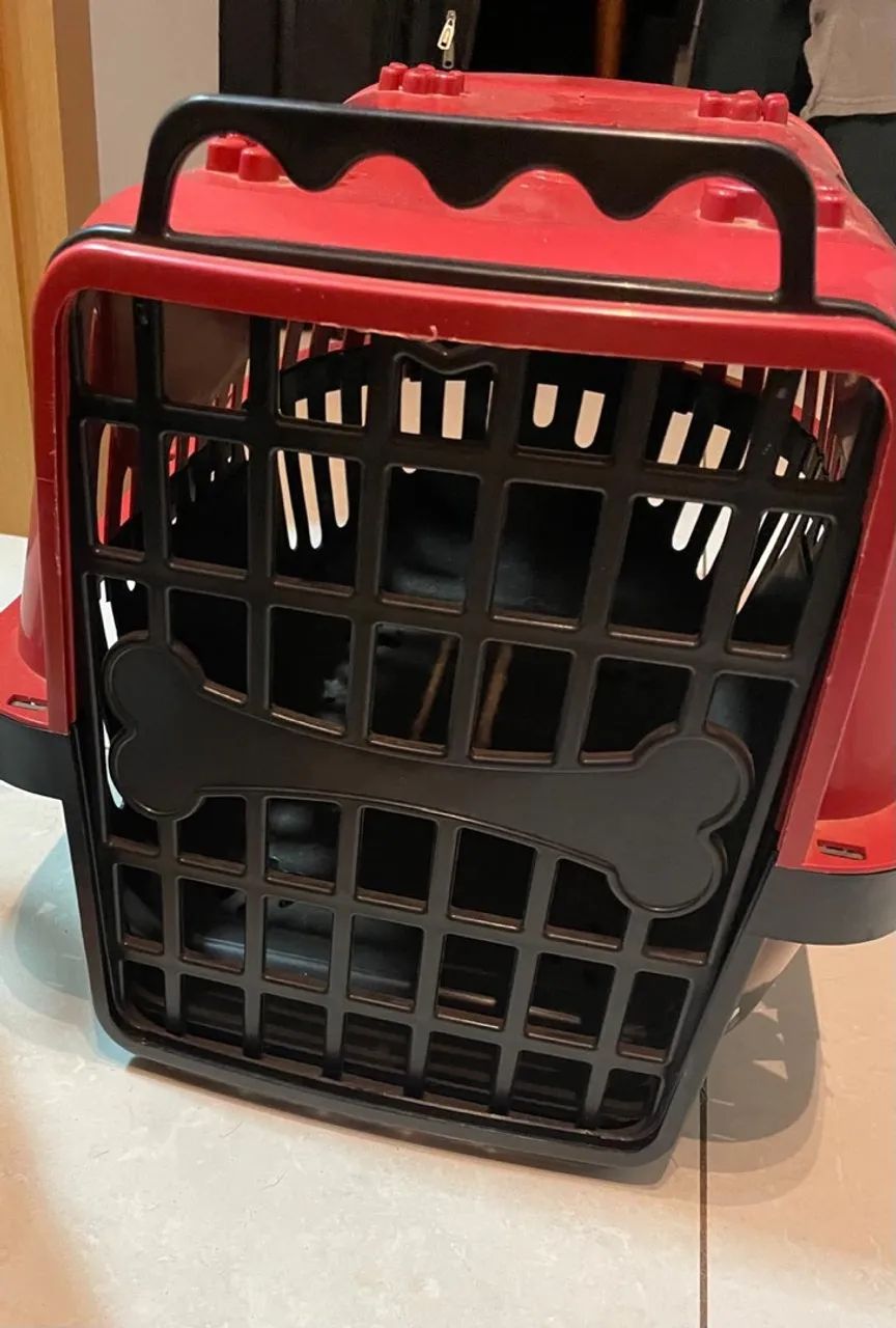 Caixa de Transporte para Pet