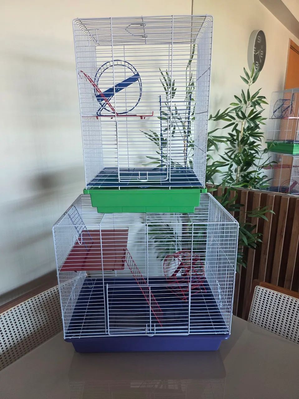 Casinhas para aves  - Foto 4
