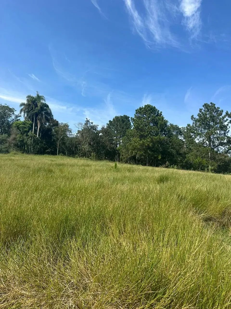 Terreno barato em Ibiúna, pronto para investir - Foto 6