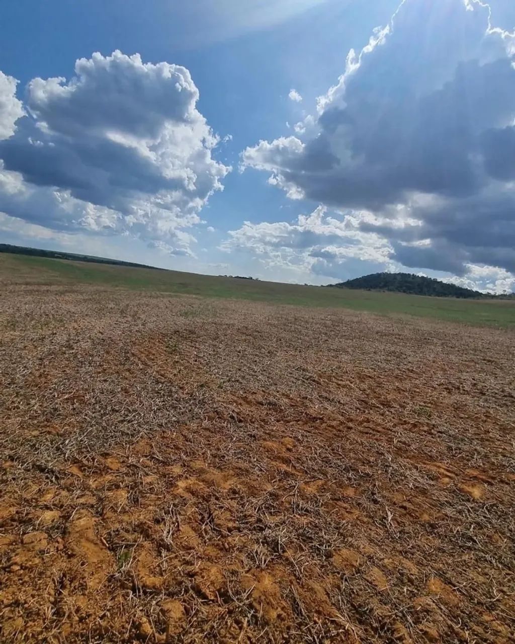 Fazenda de 654 hectares  - Foto 3