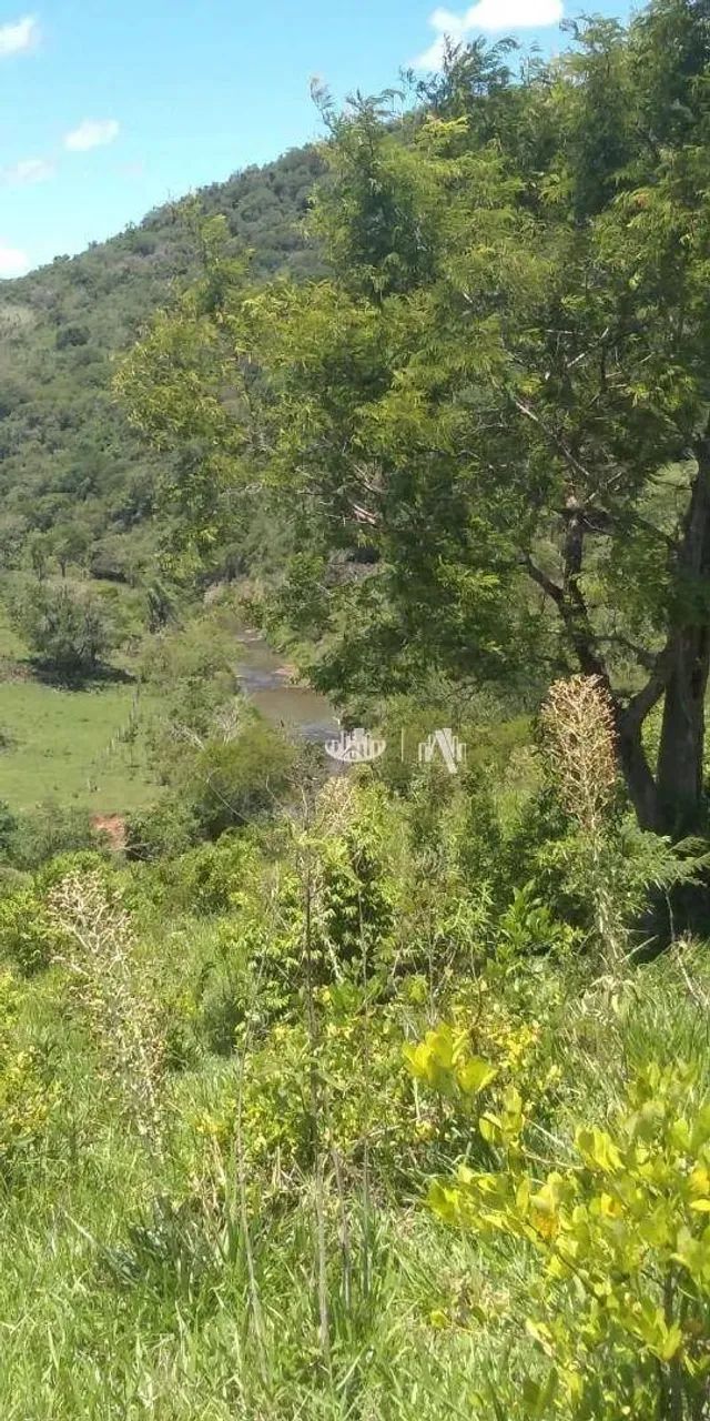 Sítio à venda, 145200 m² por R$ 1.200.000,00 - Jardim Ouro verde - Guairaca/PR - Foto 7