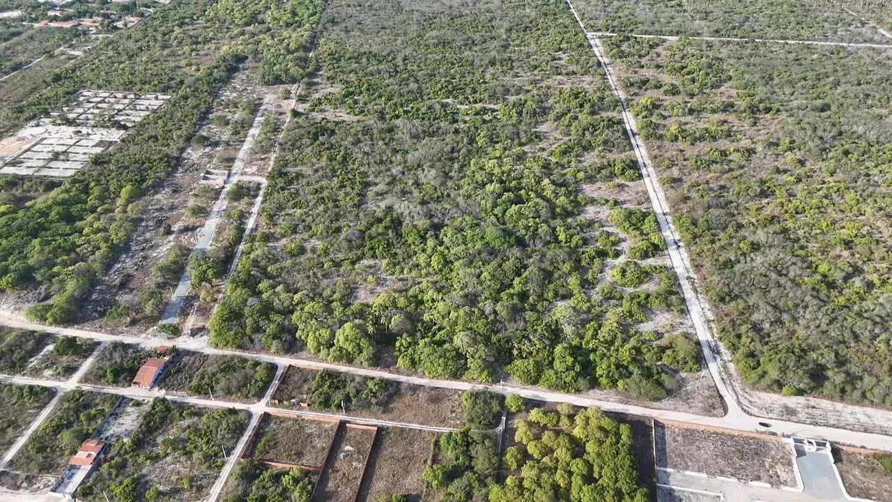 Foto - Maracanaú - Cágado