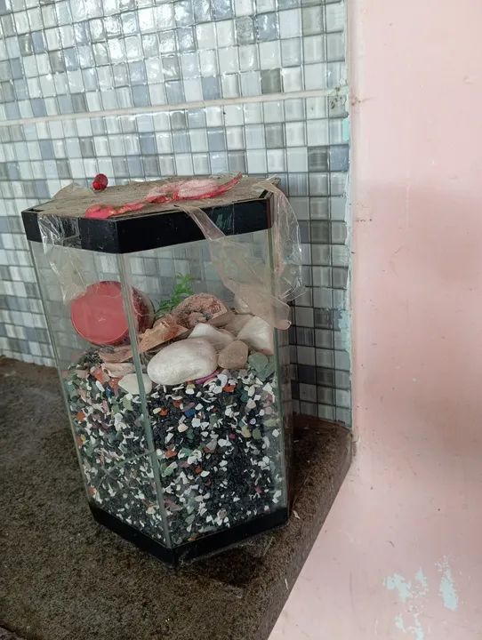 aquário grande - Foto 4