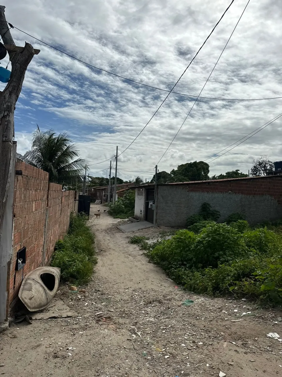 Terreno no aratu