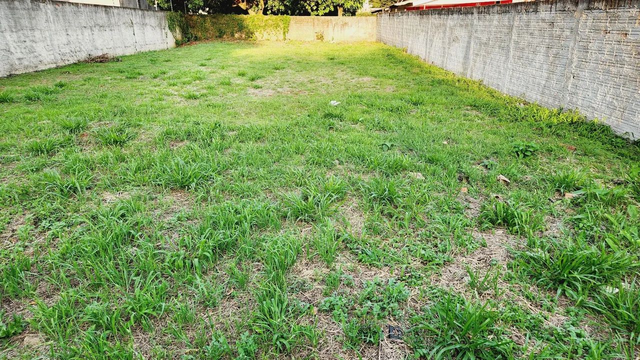 Terreno Central ao lado Instituto da Visão  - Foto 4
