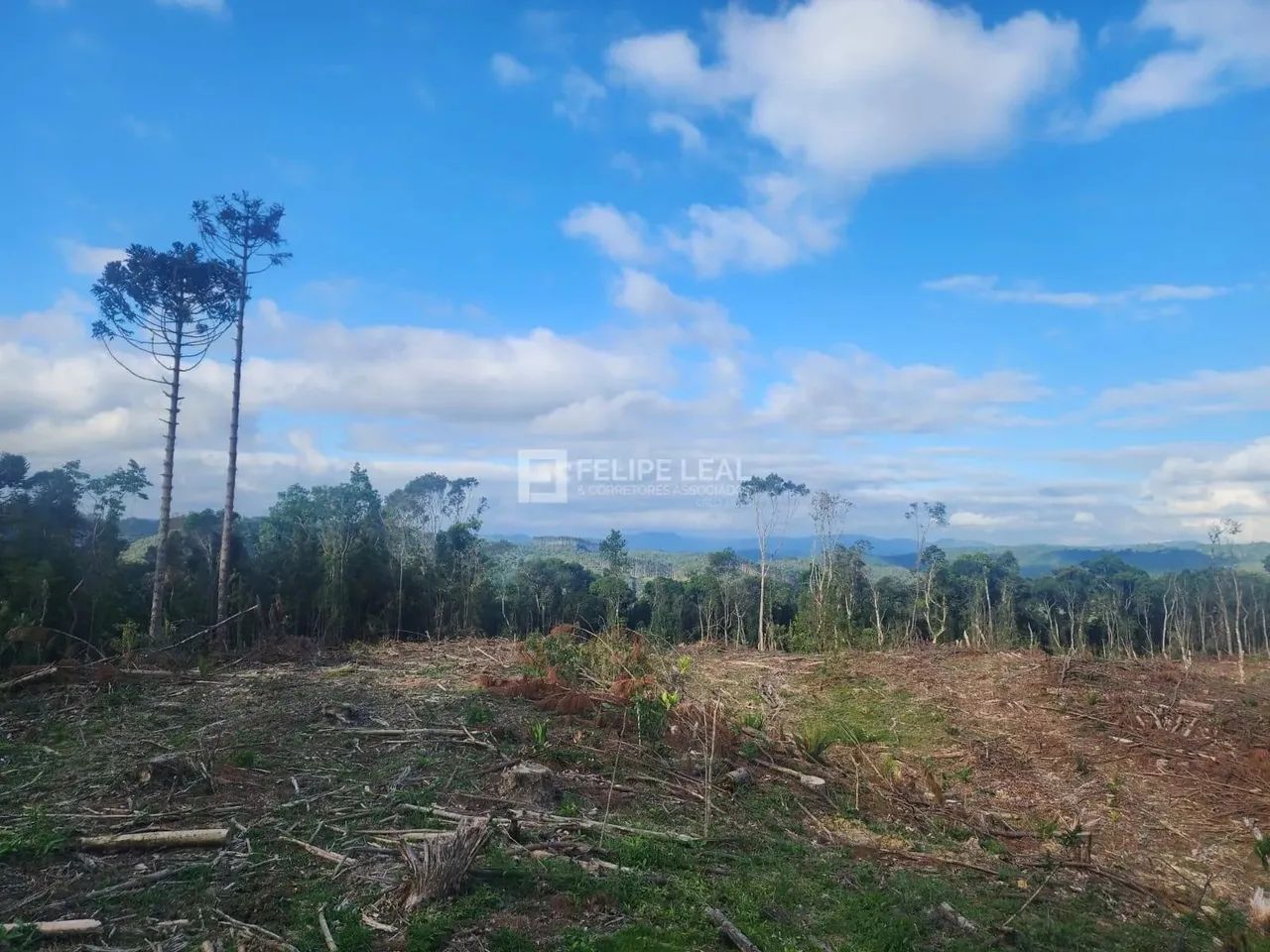 Terreno em Pinheiral - Rancho Queimado - Foto 3