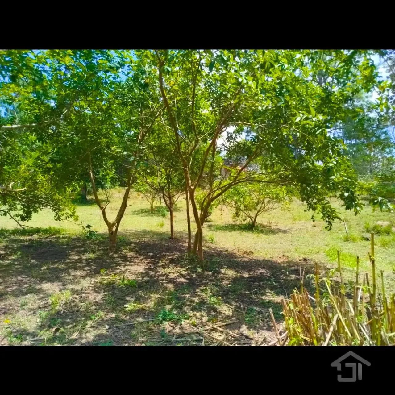 Chácara 37.710,00 m² com Escritura Registrada em Juquitiba-SP - Foto 4