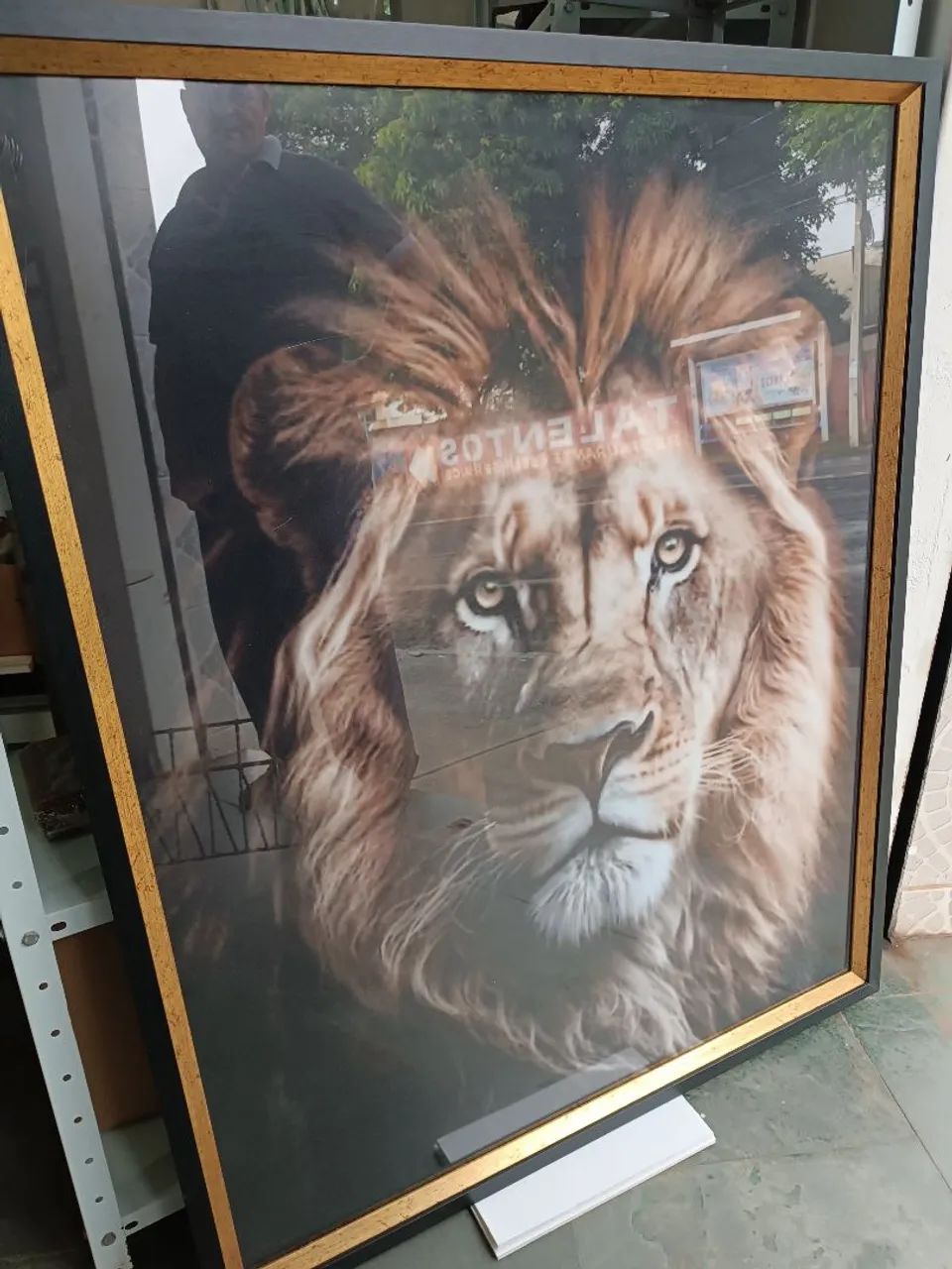 Quadro Decorativo Leão - Foto 2