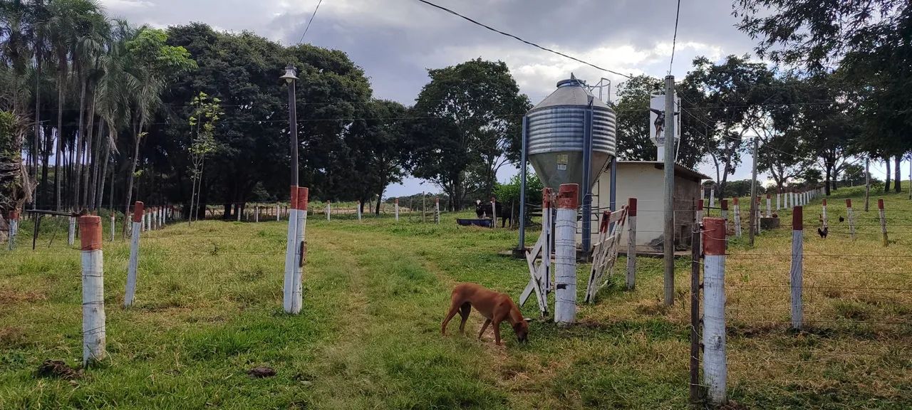 Chácara em Bela vista  - Foto 3