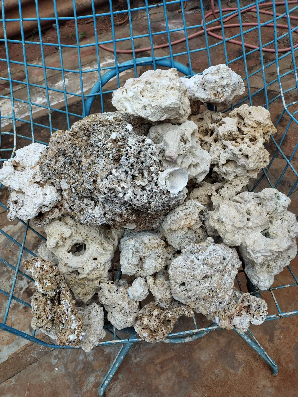 25kg Rochas para Aquário