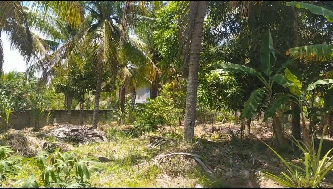 Terreno a venda Santa Cruz Cabrália 