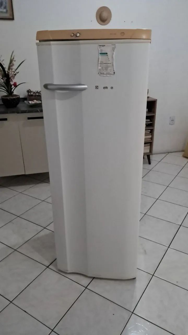 Geladeira Usada Electrolux - Foto 6