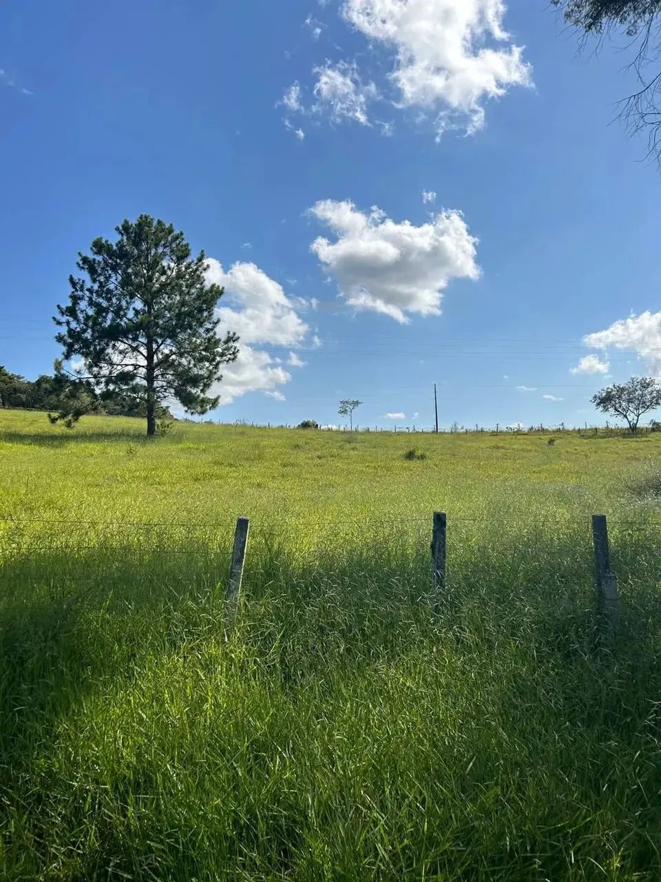 Terreno barato em Ibiúna, pronto para investir - Foto 5