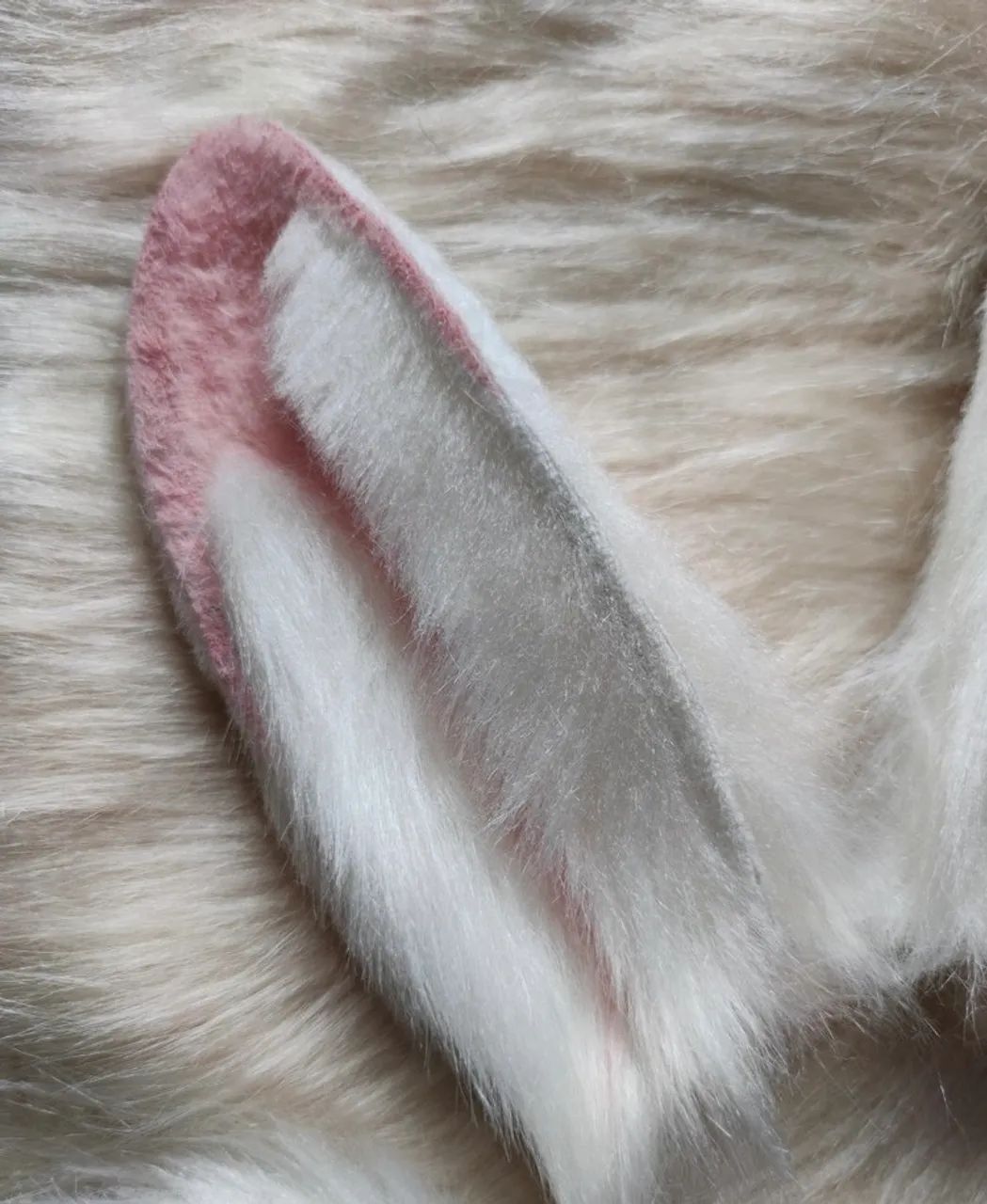 Foldable Rabbit Ears