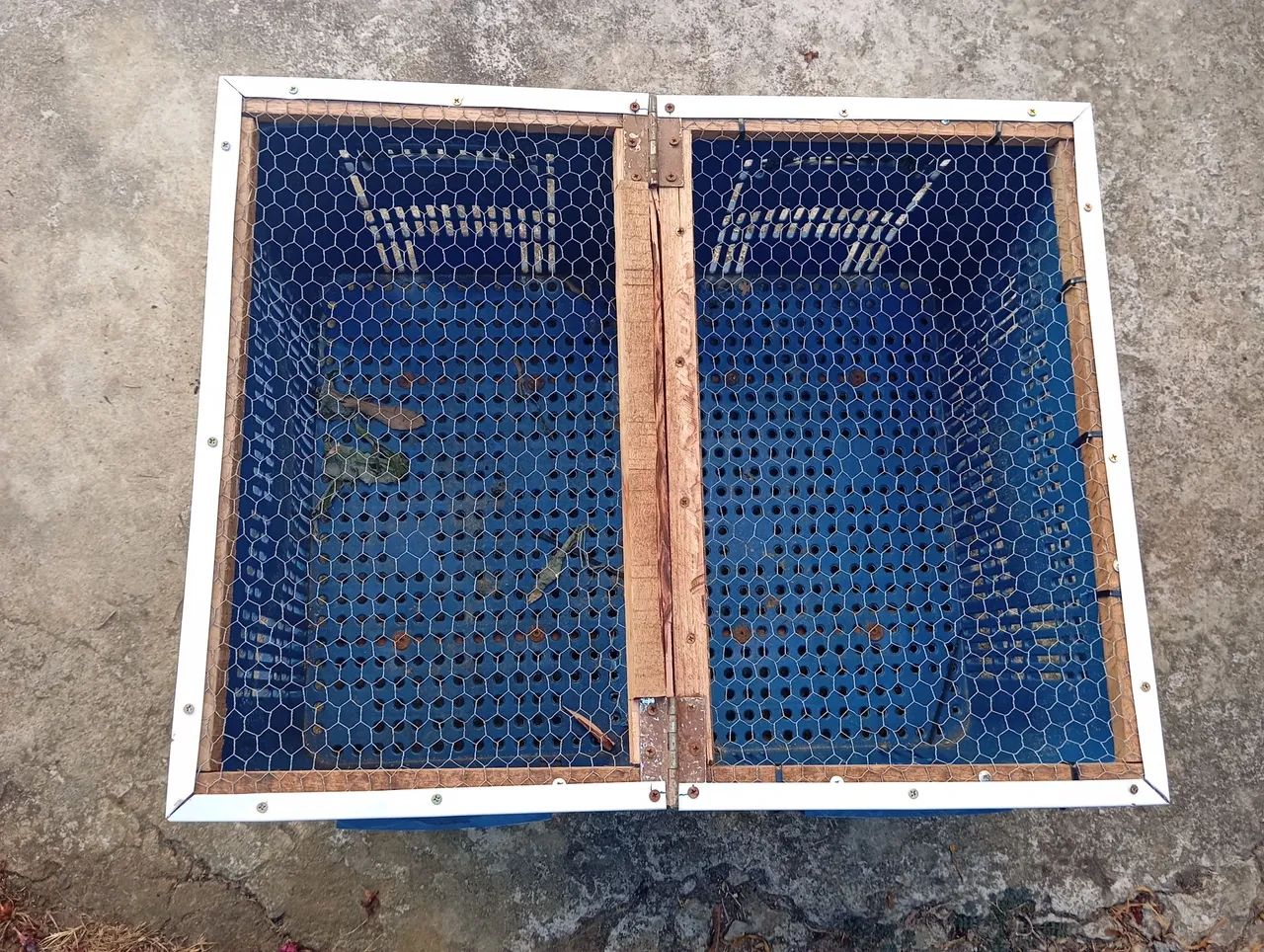 Pinteiro, viveiro, ou gaiola para pintinhos frangos  - Foto 2