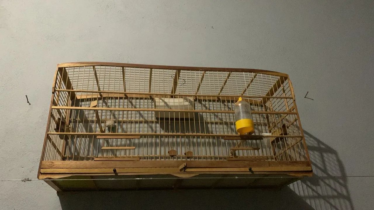 Gaiola para pássaros