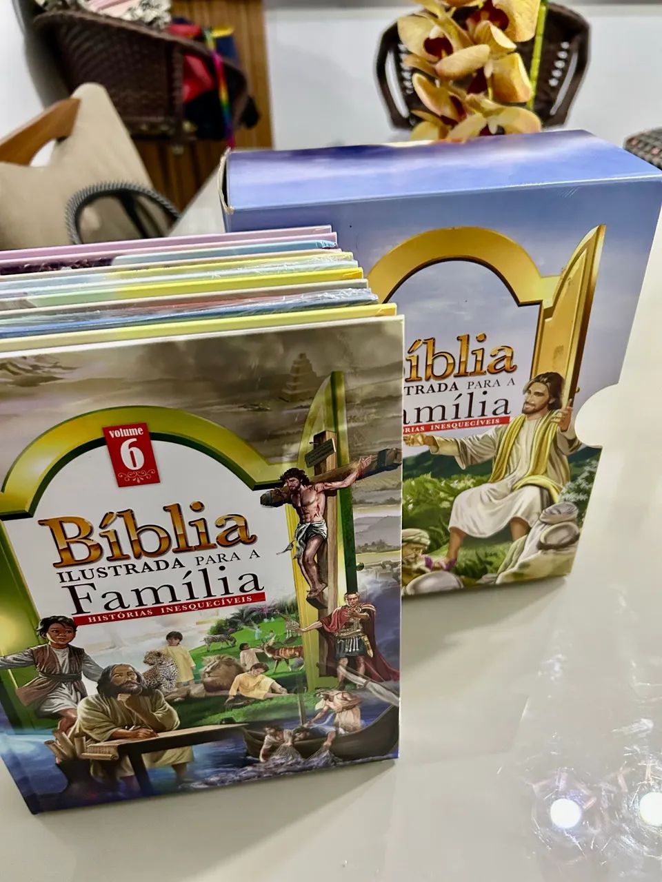 Coleção Bíblia ilustrada da família Box 6 volumes - Livros e