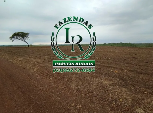 Fazenda de 424 alqueires Lavoura e Pecuária Tocantins