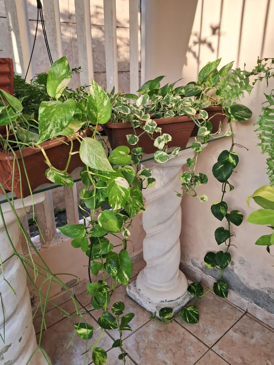 Garden 64305474664321120