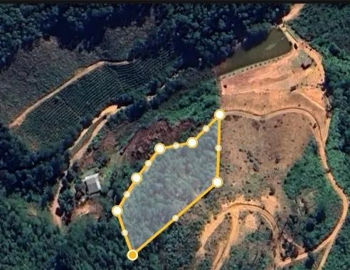 VENDO TERRENO EM ARAGUAIA  - Foto 7