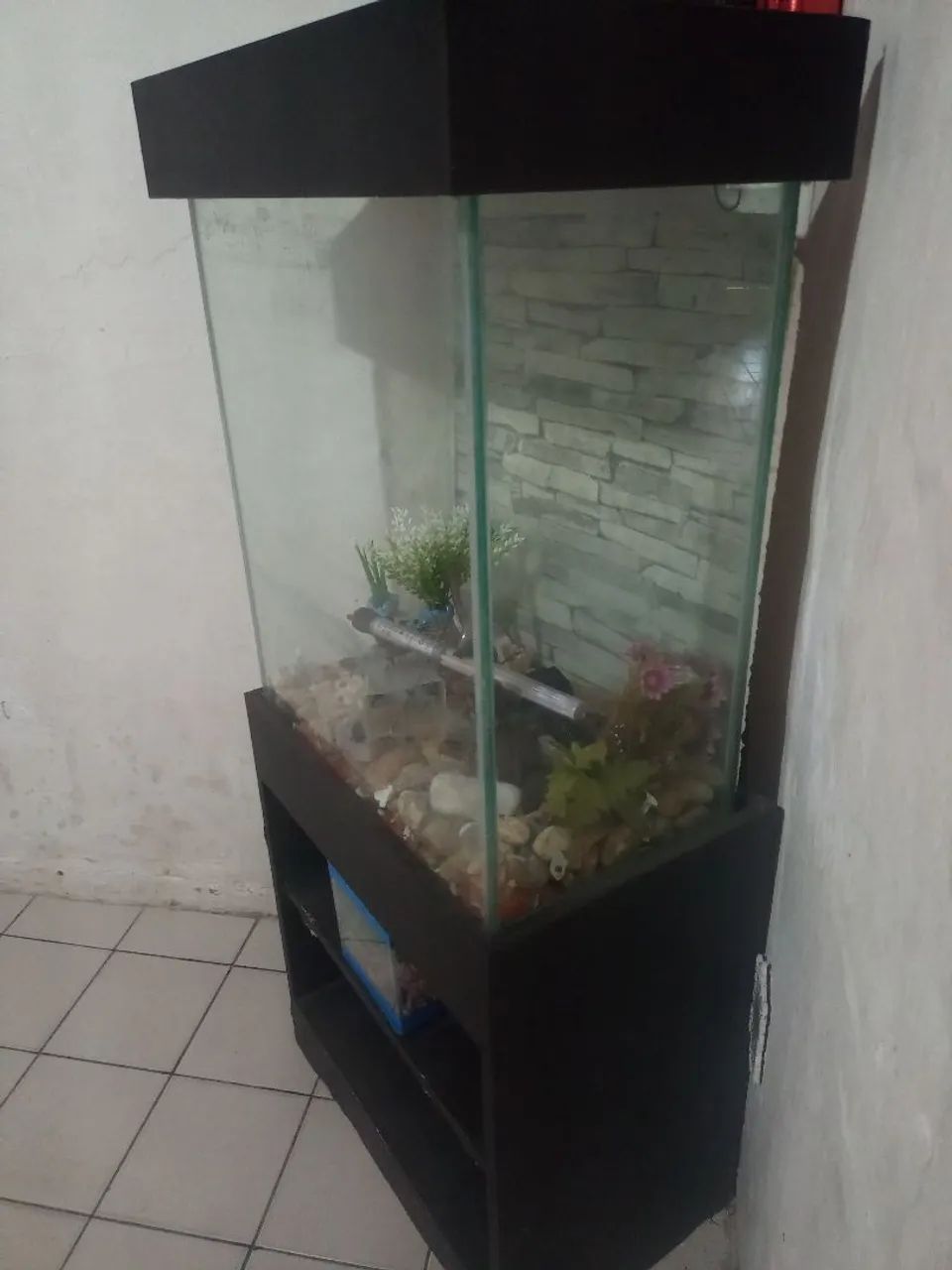 Aquário Completo  - Foto 3