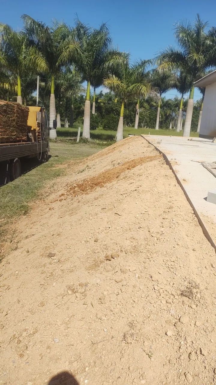 Zé jardinagem em geral  - Foto 3