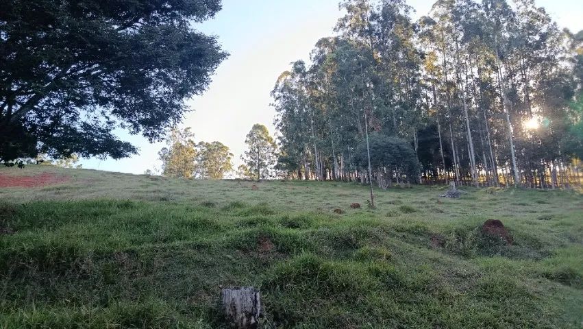 Ótimo sitio no sul de Minas Gerais  - Foto 4