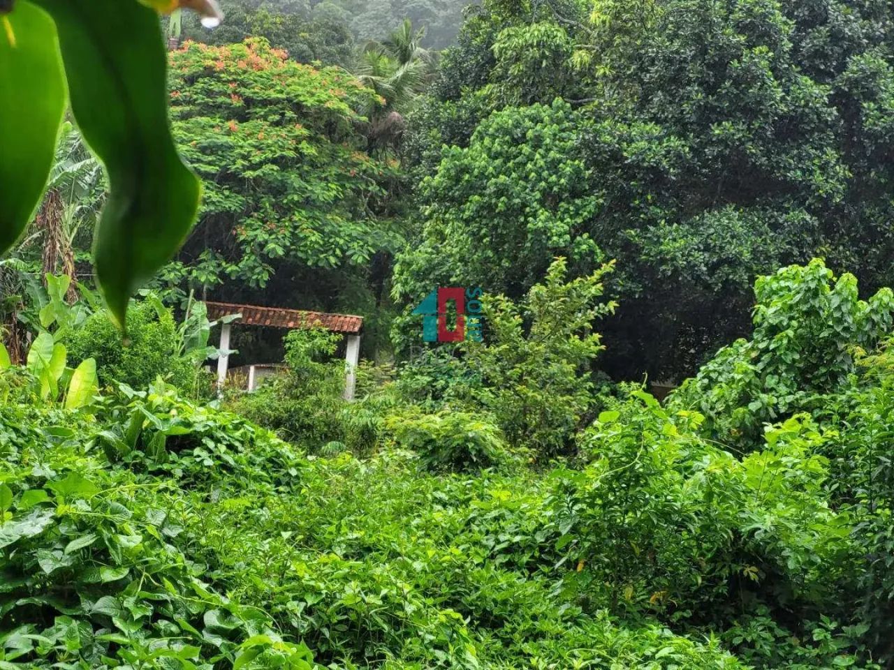Vargem Grande | Terreno - Foto 4