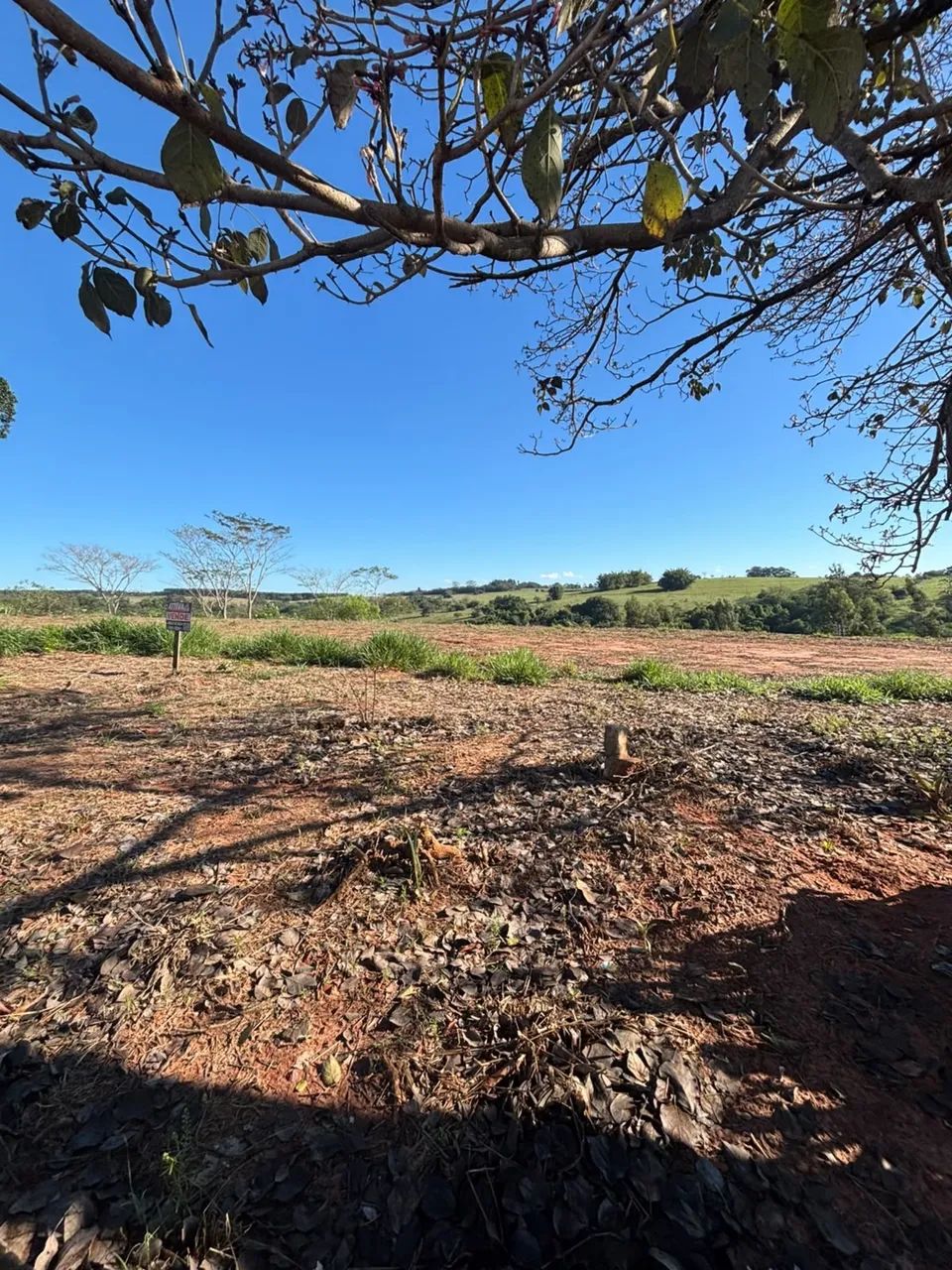 Menor preço de terreno inteiro  - Foto 3