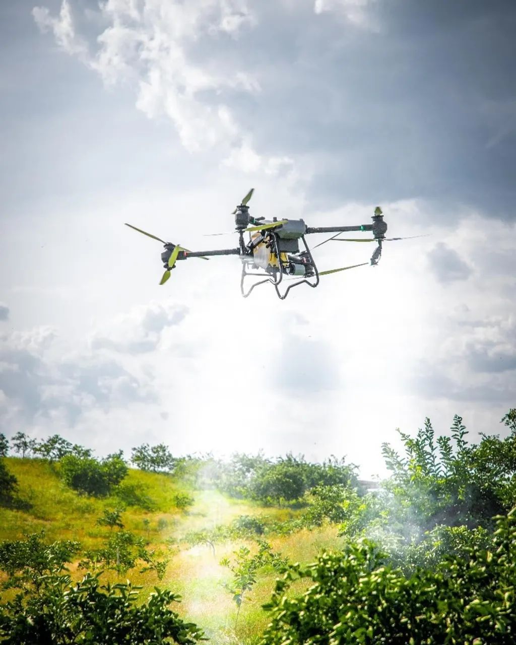 DRONE PULVERIZADOR  - Foto 4