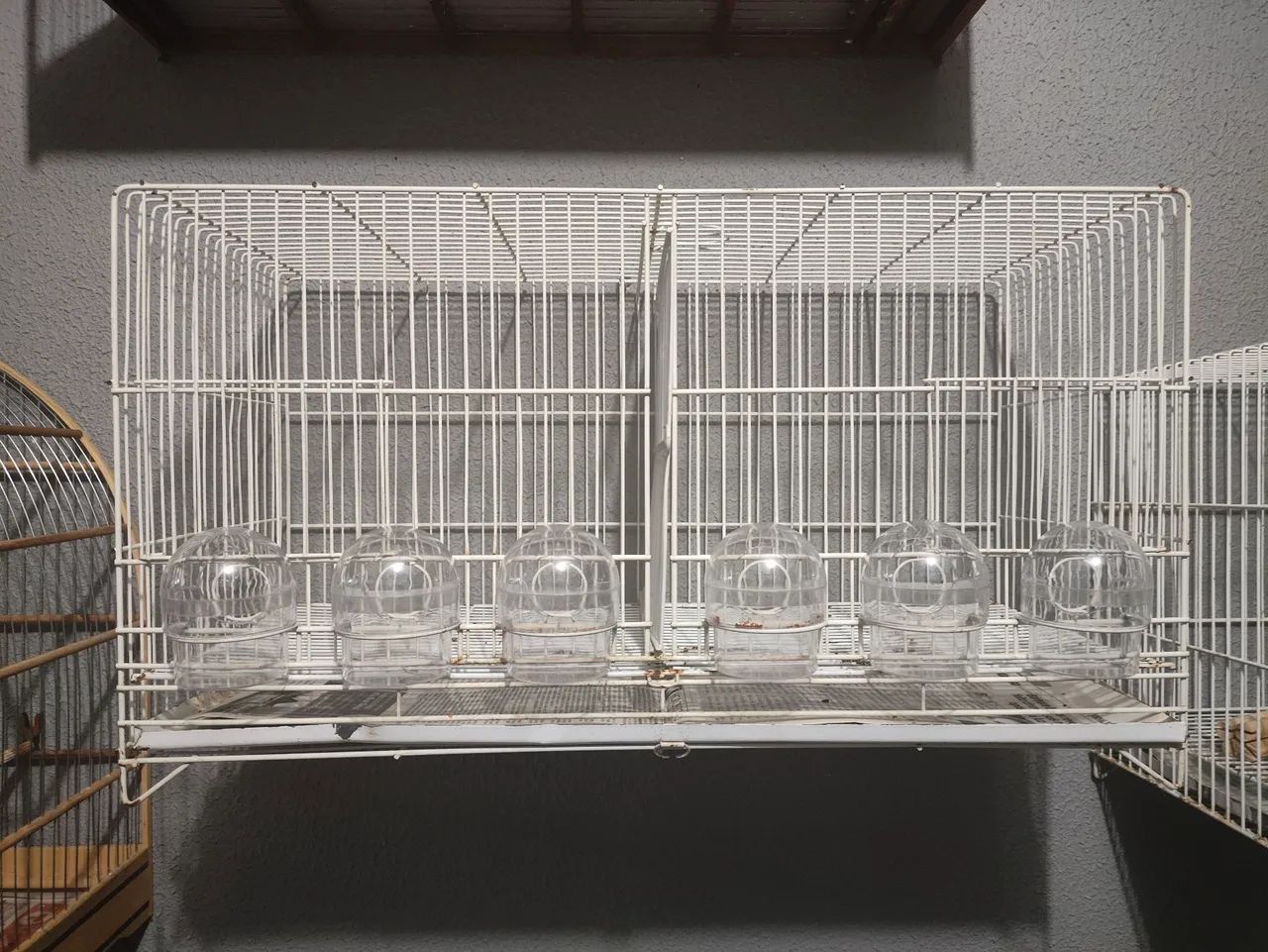 Gaiola 6 comedores - Foto 3