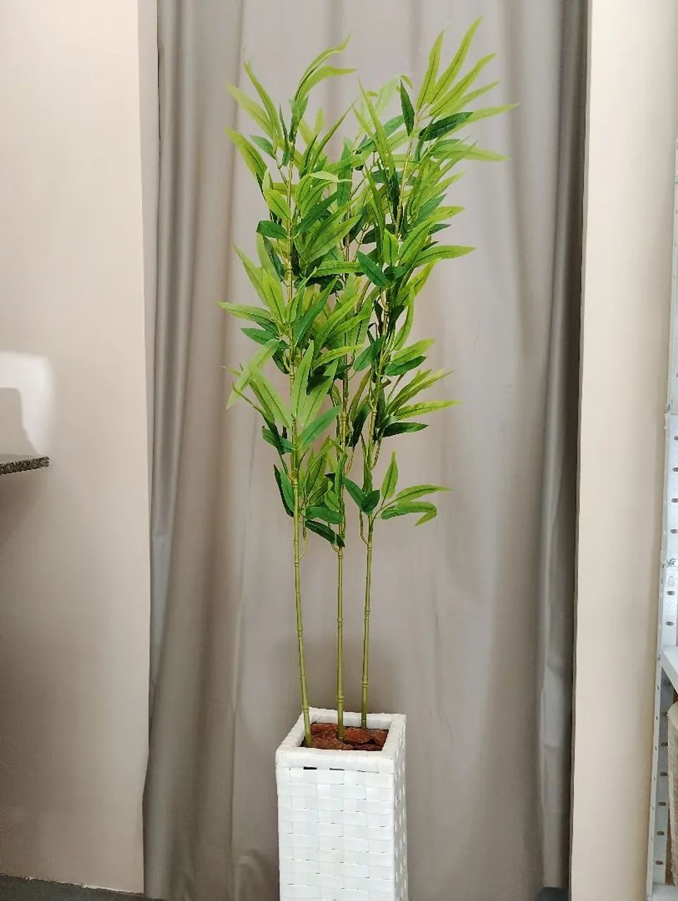 Lindo vaso de bambu da sorte  - Foto 3