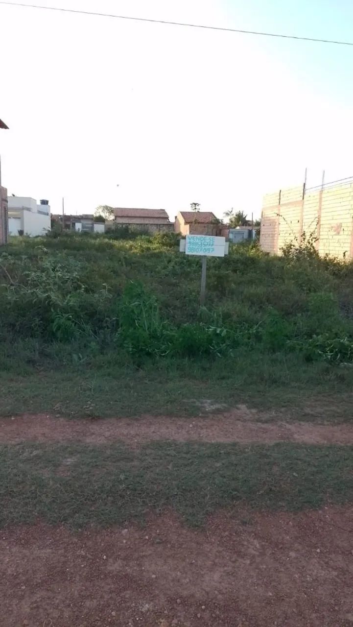 Terreno em Pinheiro MA 50 mil 