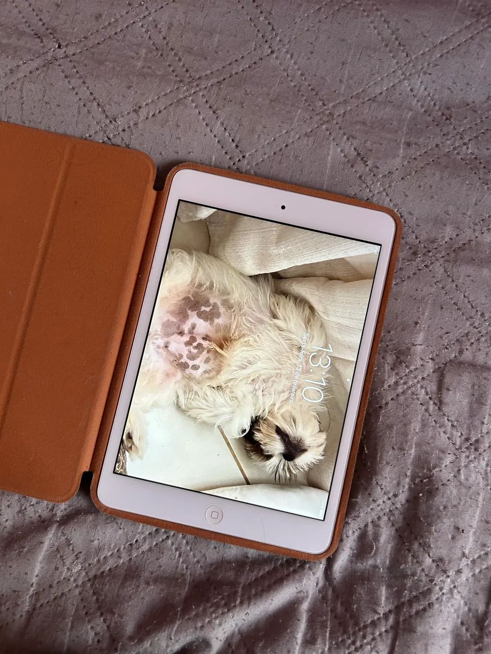 Vendo iPad mini 2, 32GB