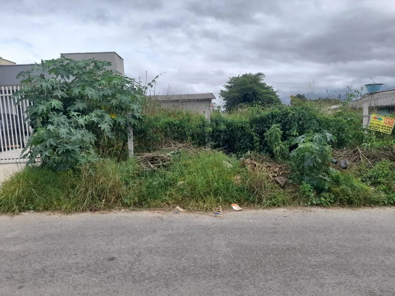 Terreno em Colombo  - Foto 3