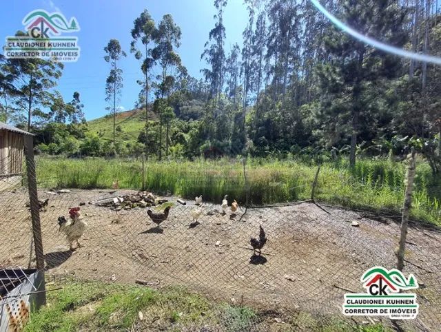 Sítio com 13 hectares e casa em Águas Mornas - Foto 4