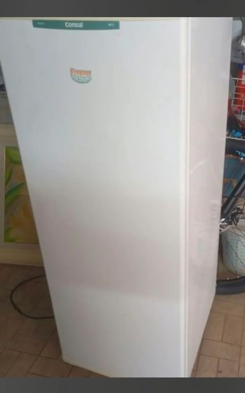 Frrezer Consul