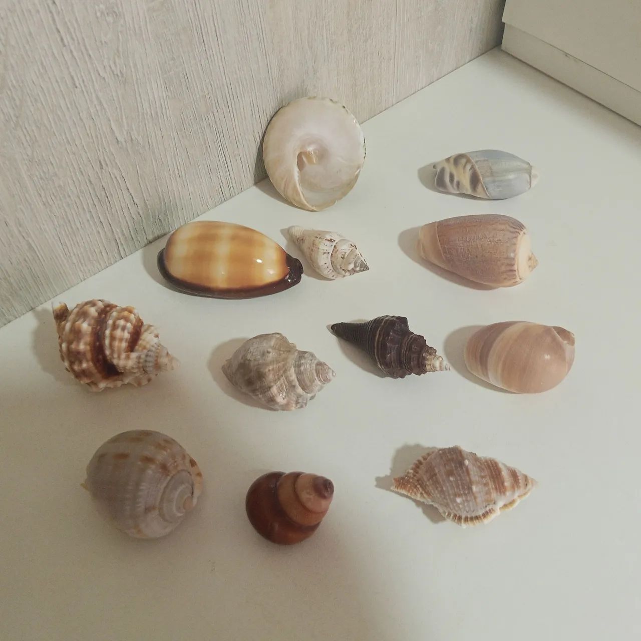 Enfeites para casa - Foto 3