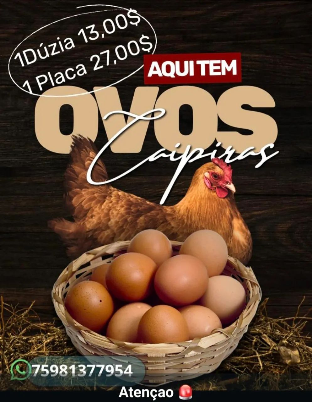 Ovos pontos e frangos !!