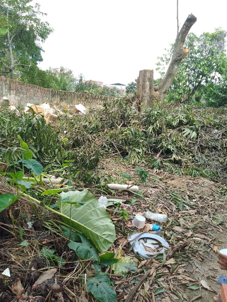 Faça poldagem , e remoçao em qualquer canto da cidade - Foto 5