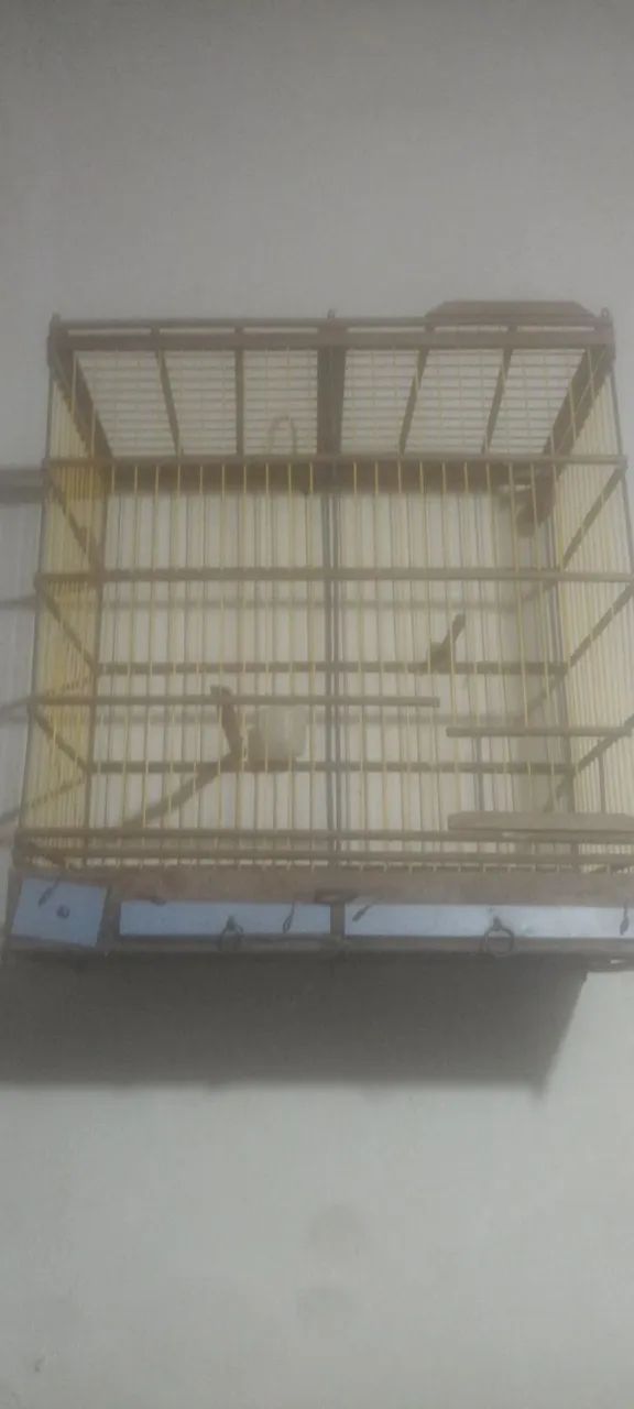 Gaiola