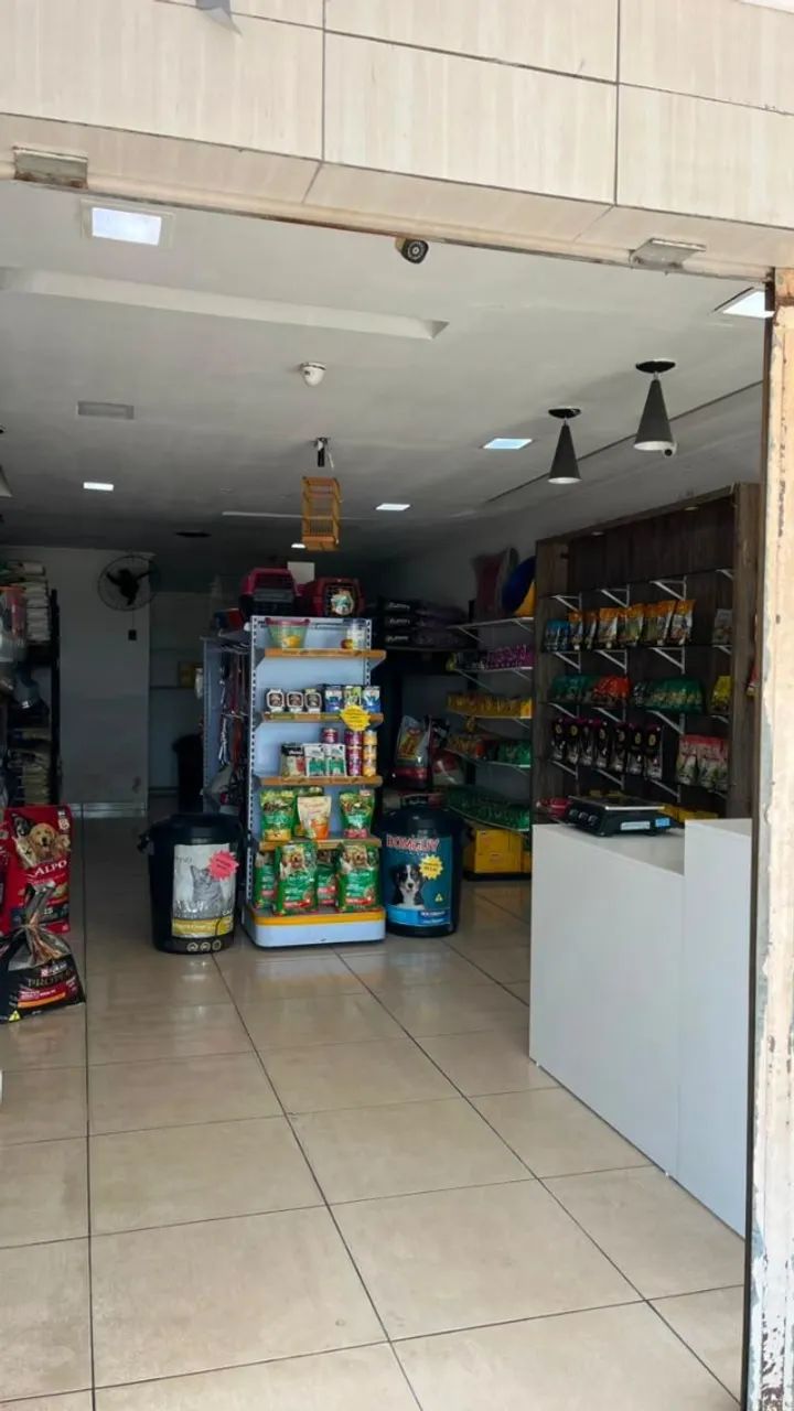 REPASSE DE LOJA DE RAÇÃO EM TIBIRI FÁBRICA/SANTA RITA - Foto 3
