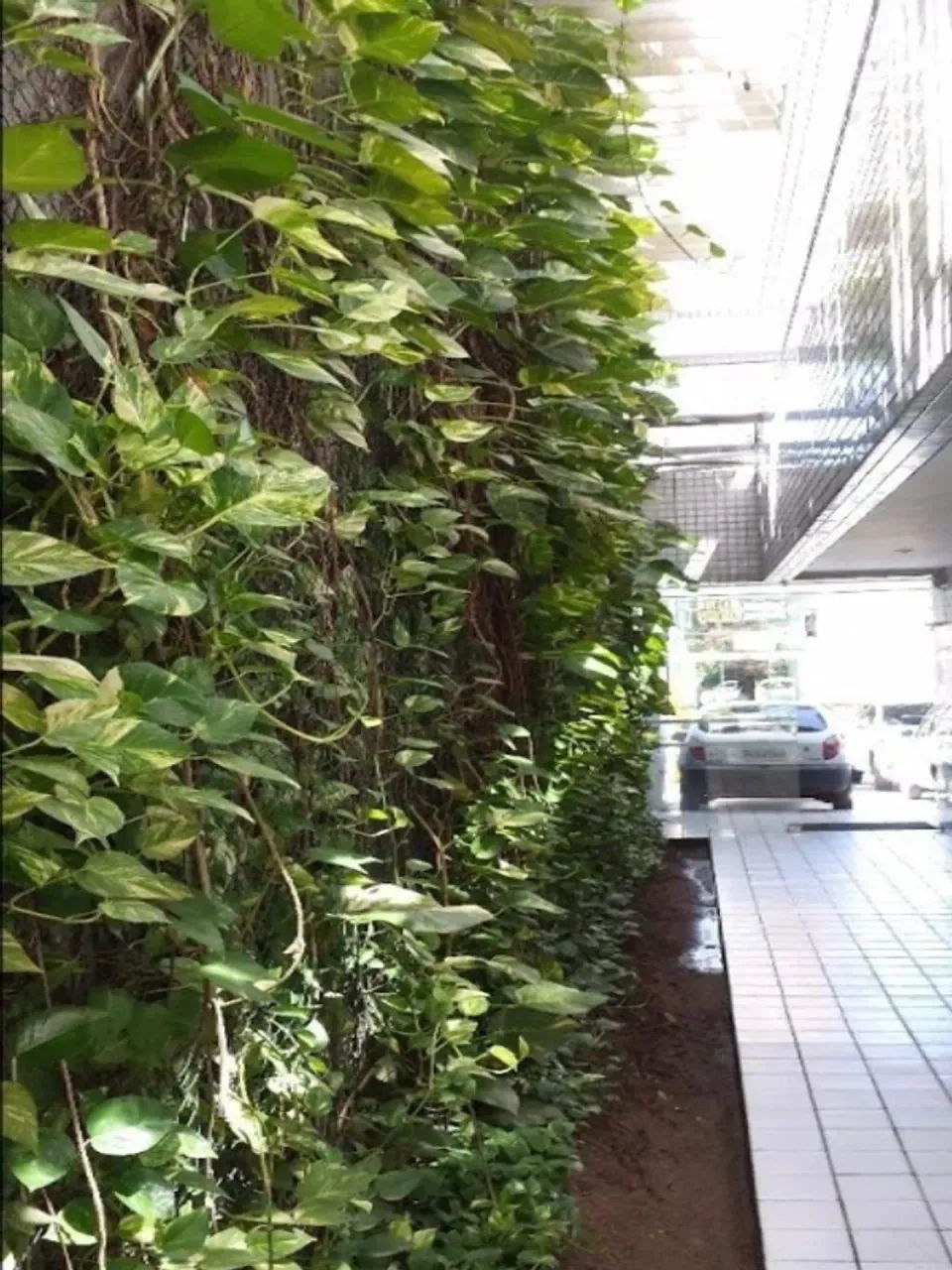 Imóvel para aluguel tem 28 metros quadrados em Espinheiro - Recife - PE - Foto 3