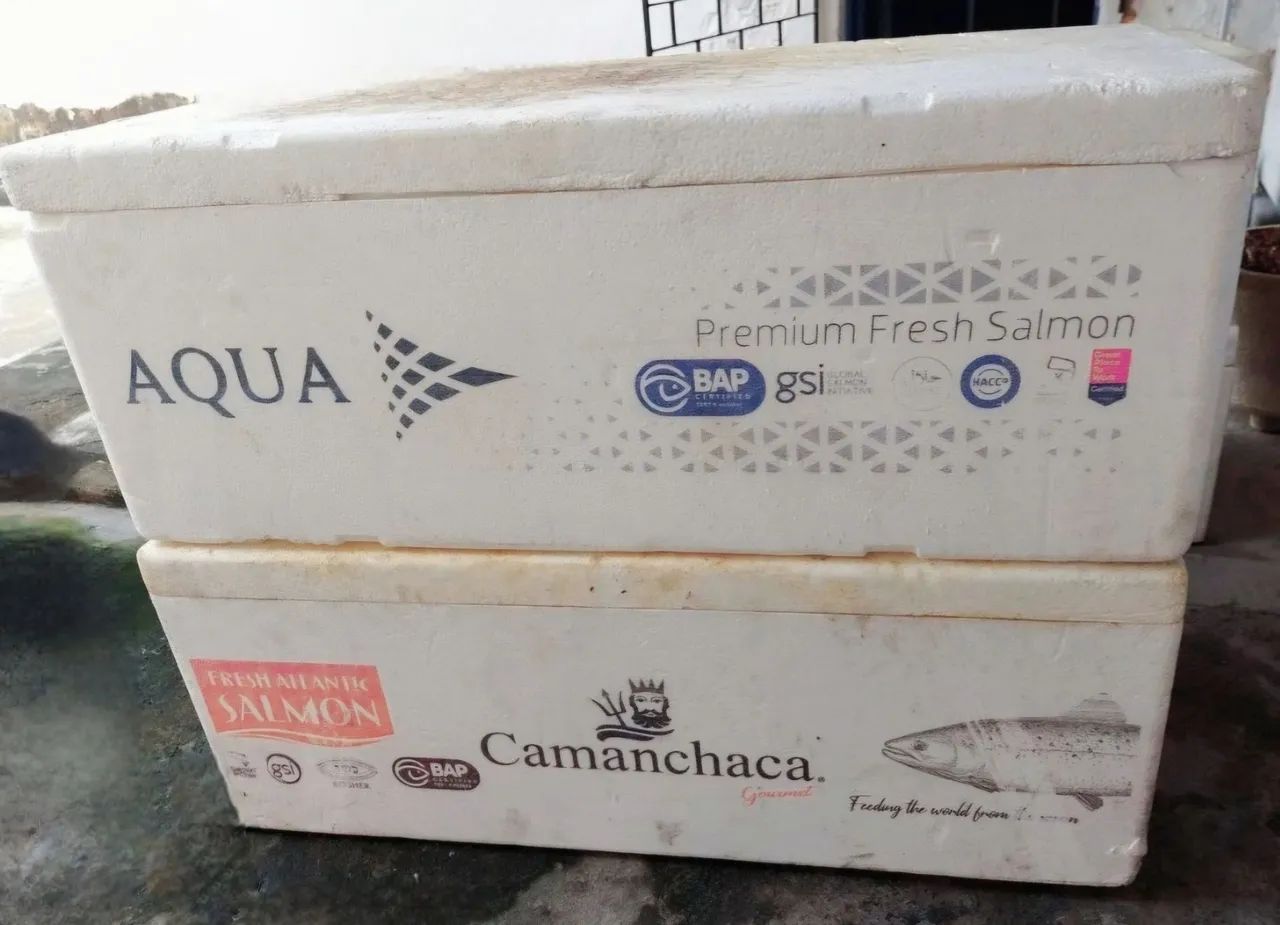 Caixa de Isopor  - Foto 2