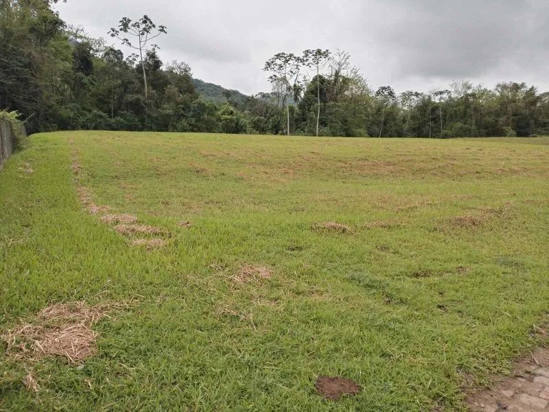 Terreno RODEIO - SC - Foto 3