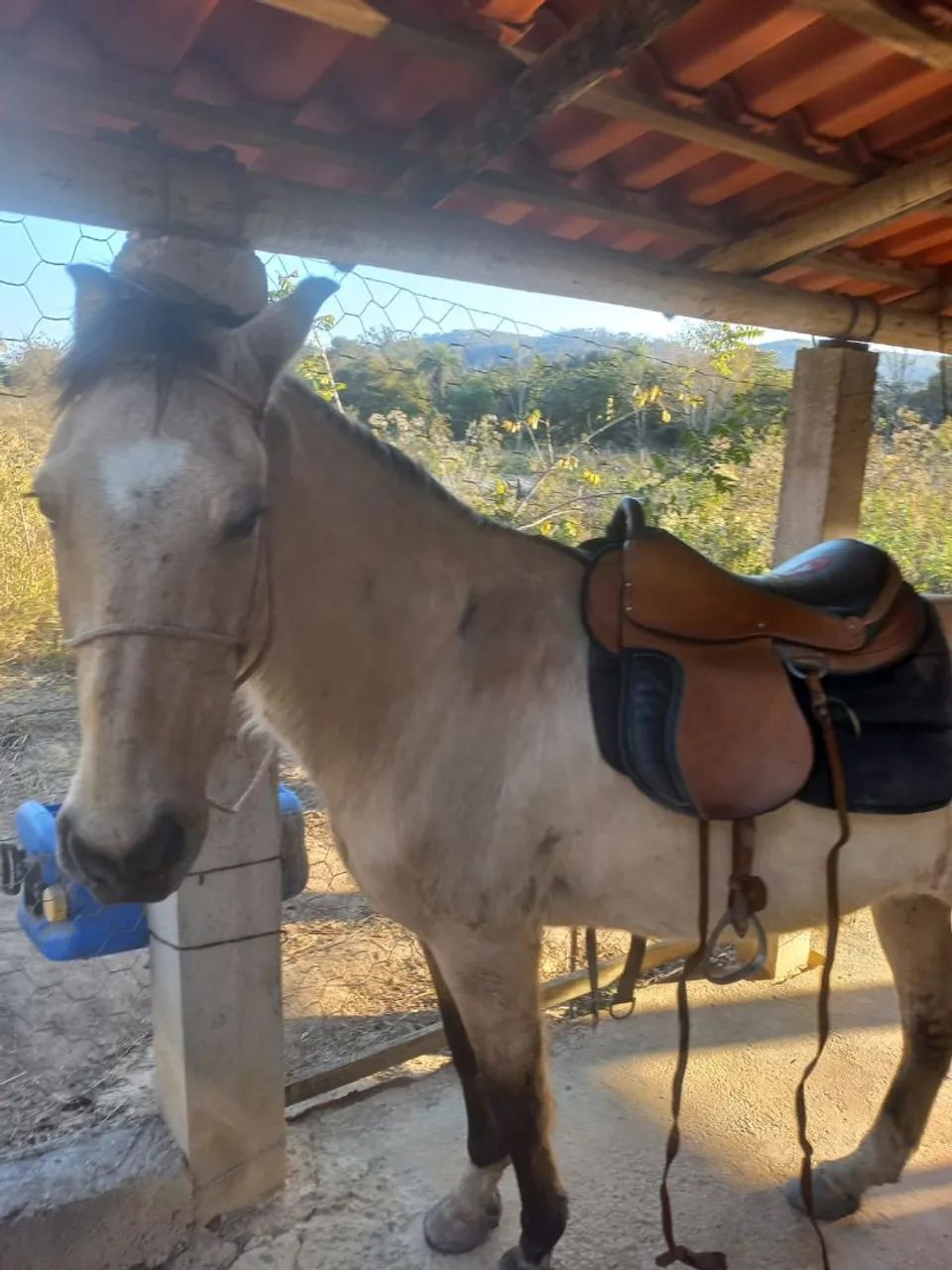 Vendo - Foto 2
