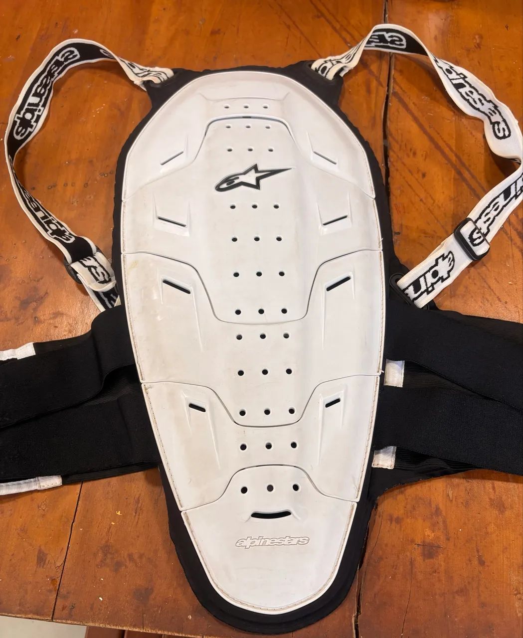 Alpinestars protetor de coluna (bionic back protector) - Foto 3
