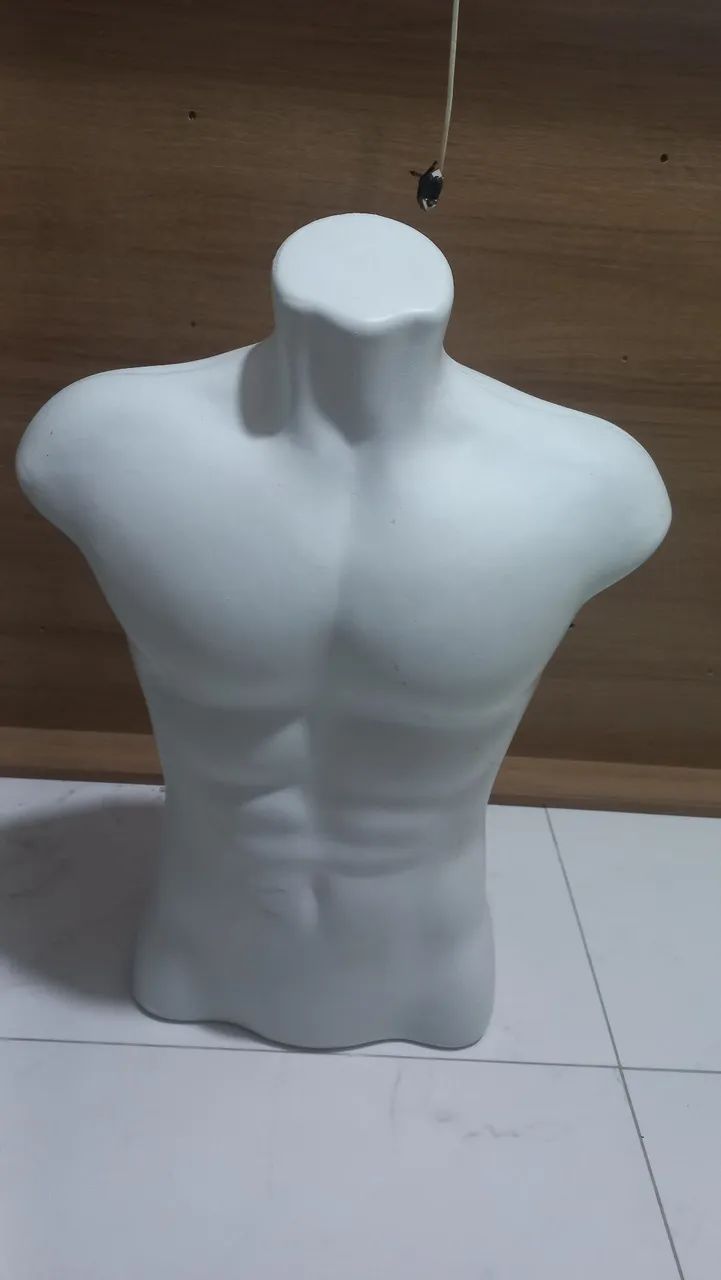 Manequim Busto Masculino