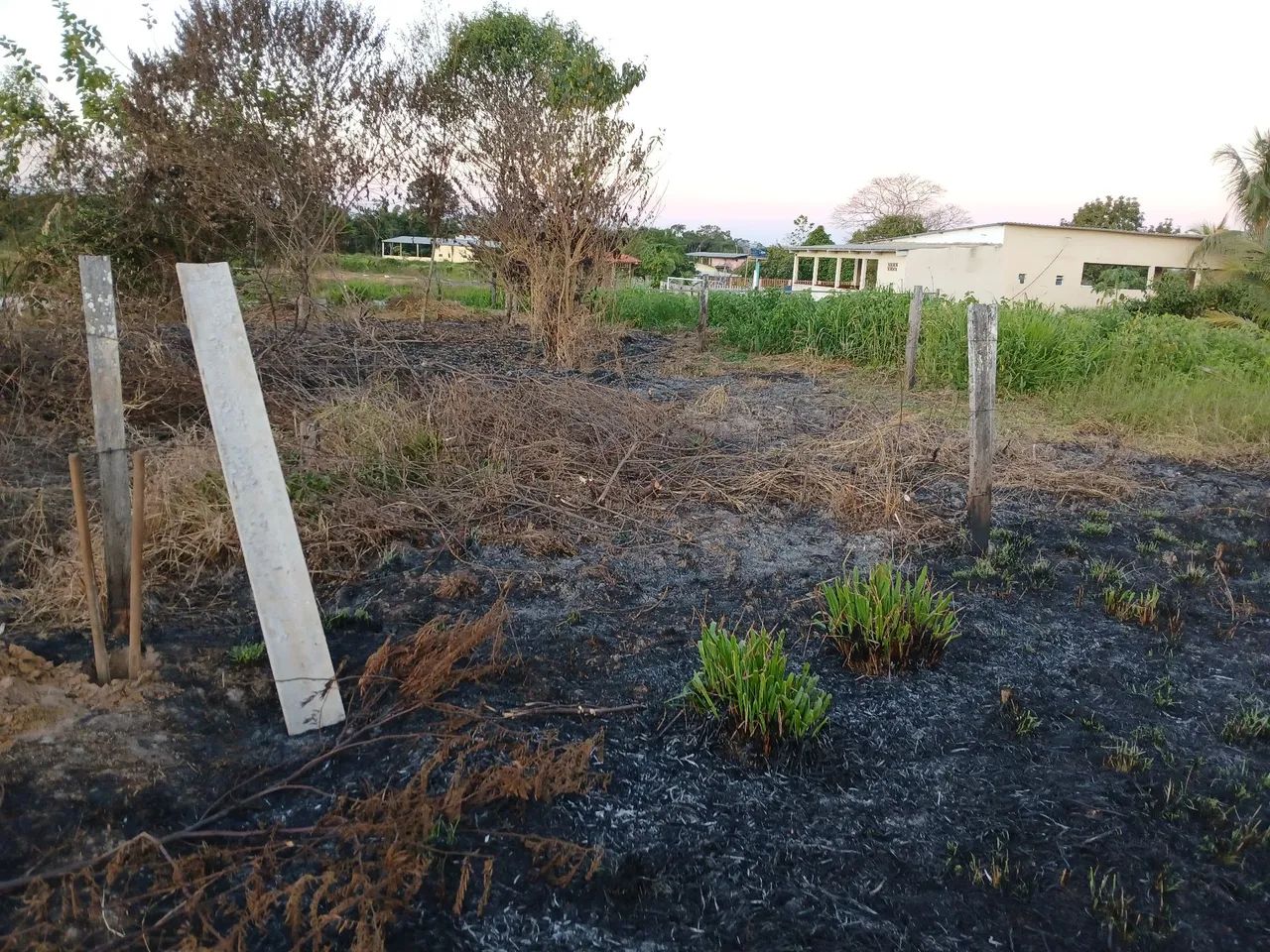 Terreno  - Foto 4