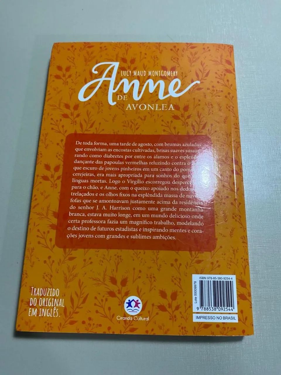 Anne de avonlea 2 - Foto 2